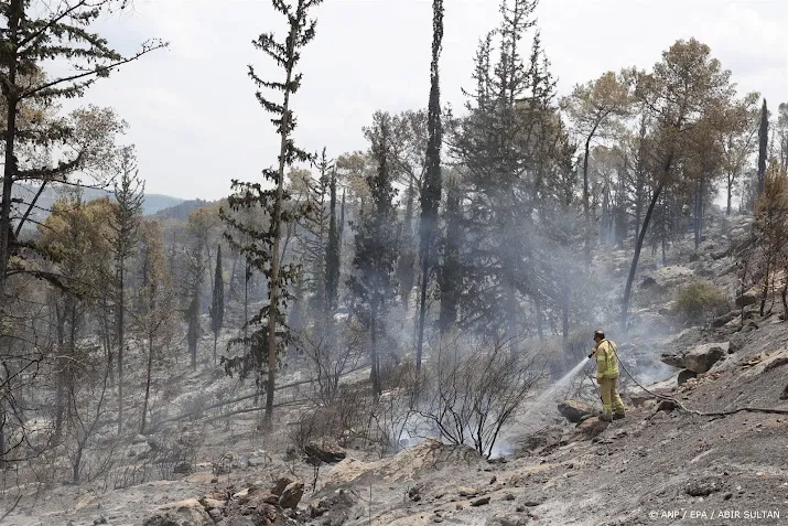 Door natuurbranden meer bossen verloren in 2024 dan ooit