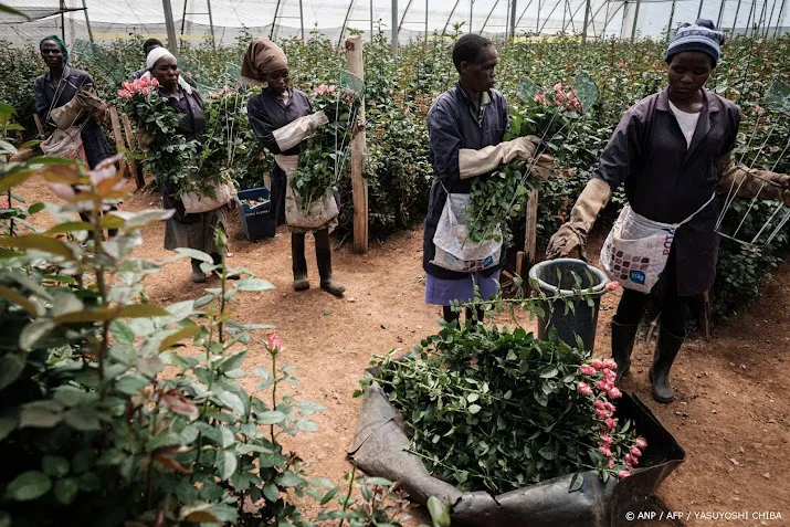 China wil alle heffingen op Afrikaanse export schrappen