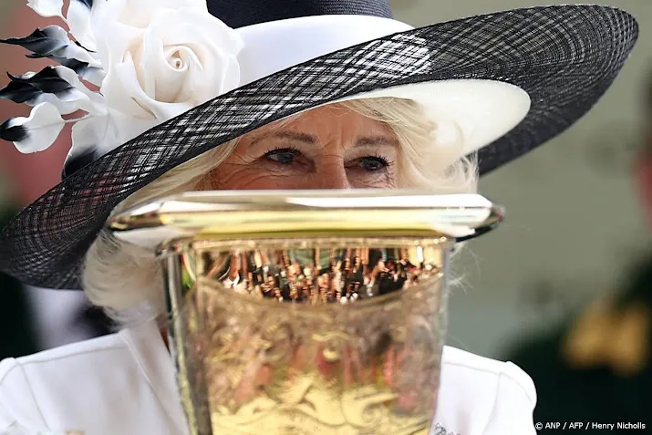 Ook op laatste dag geen koninklijk succes op Royal Ascot