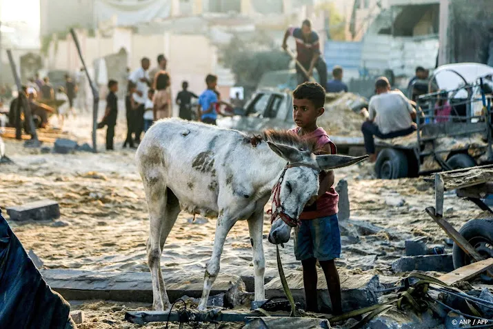 VN-rapporteur martelingen waarschuwt voor honger in Gaza