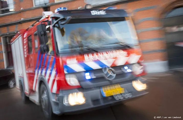 Duizenden kippen omgekomen bij brand in Vessem