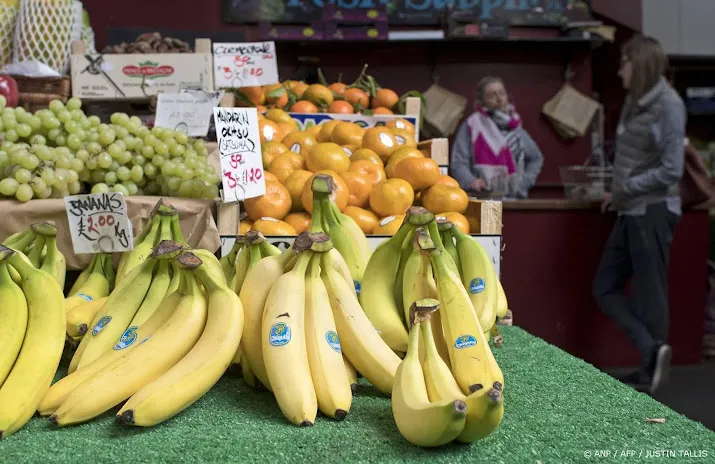 Panamese president wil dat bananenconcern Chiquita terugkomt