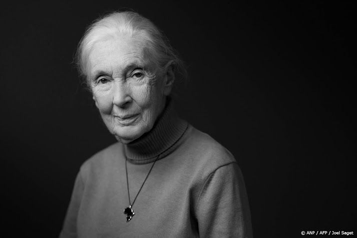 Primatoloog Jane Goodall (91) overleden