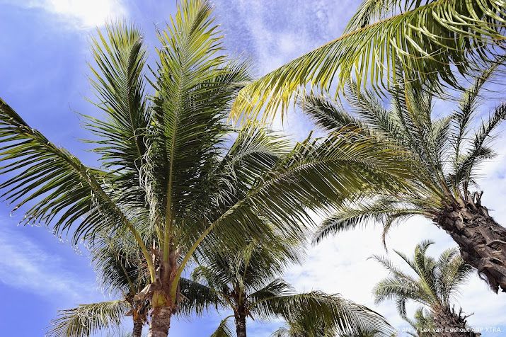 Producent werkt aan nieuw seizoen Temptation Island