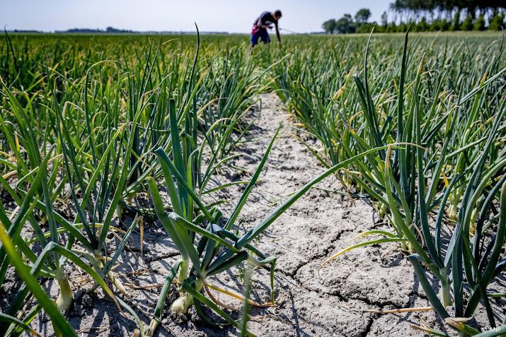 Gezondheidsraad wil meer natuurlijke bescherming van gewassen