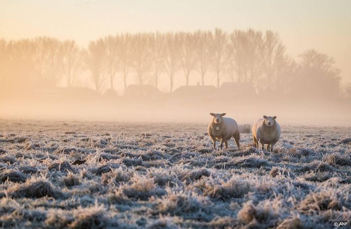 Winters weer op komst: kans op natte sneeuw en vorst 