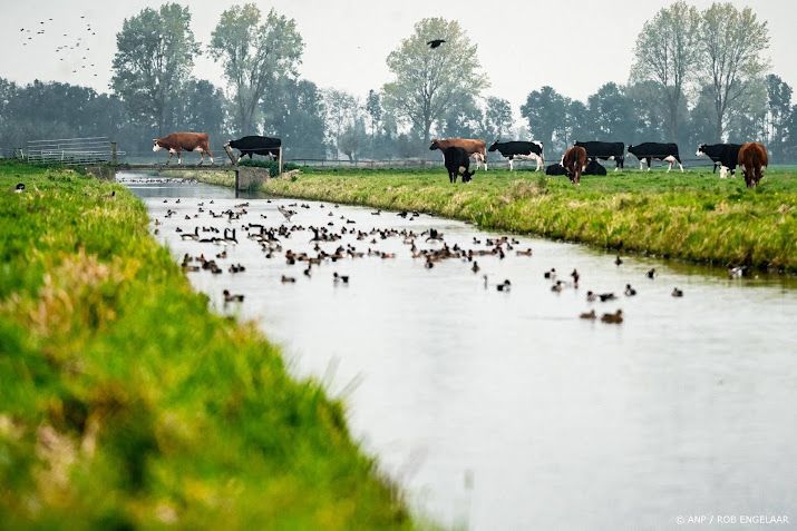 Stikstofzone rond Nieuwkoopse Plassen raakt zo'n dertig agrariërs