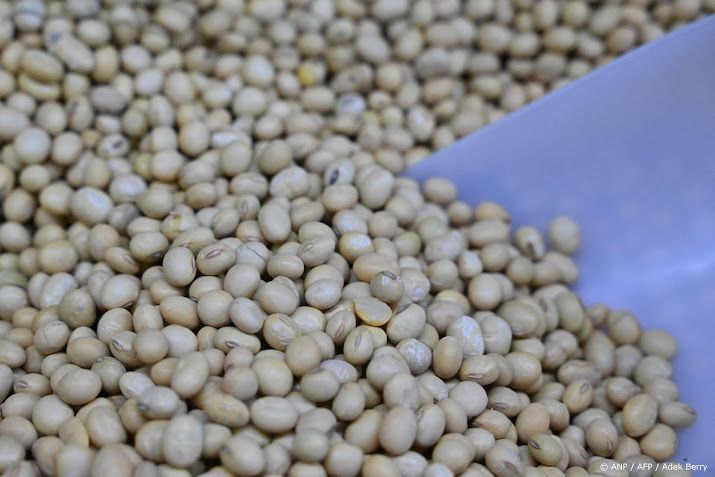 Reuters: China koopt minstens 10 ladingen Amerikaanse sojabonen