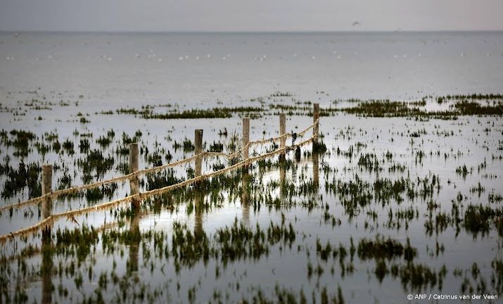Gaswinning bij Ternaard gaat definitief niet door, deal met NAM