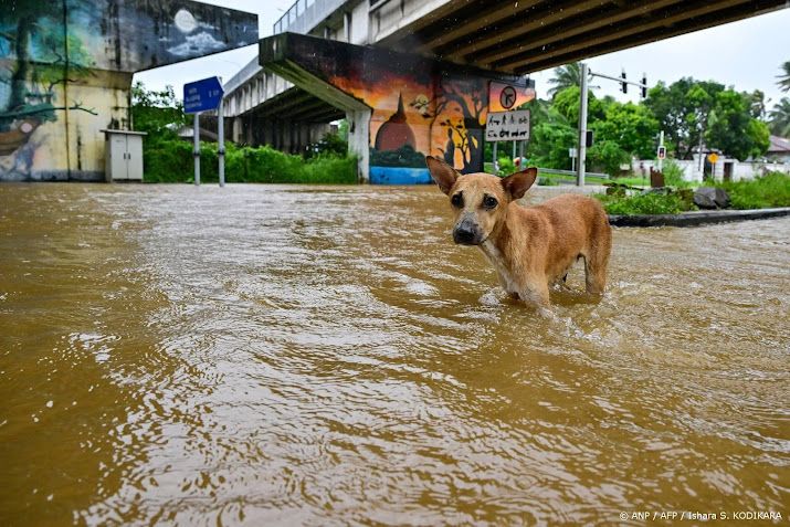 Ruim 120 doden na noodweer in Sri Lanka 