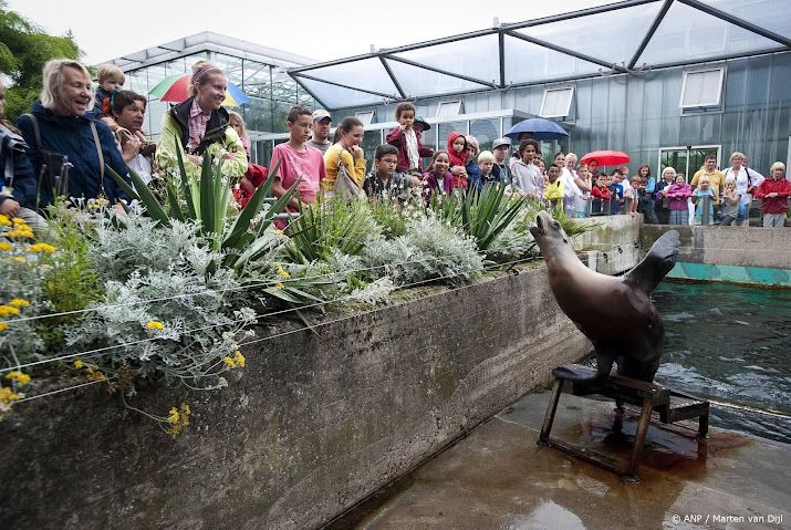 Partij voor de Dieren wil handhavingsverzoek zeeleeuwen Artis 