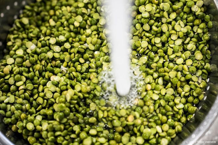 Eet minder vlees en meer peulvruchten, adviseert Gezondheidsraad