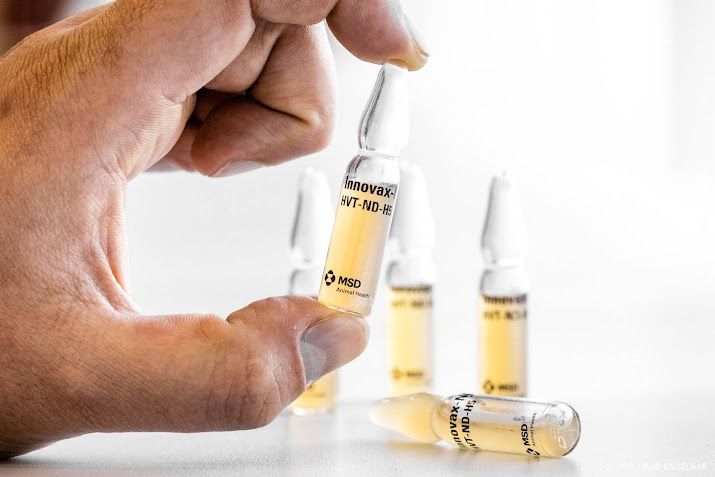 Hoogleraar over vaccin vogelgriep: wereld kijkt naar Nederland