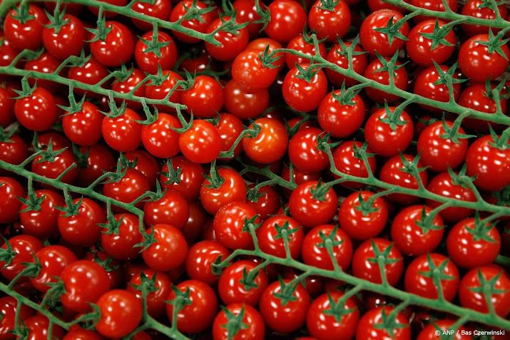 Meer controles op wat voor voedsel de Europese Unie binnenkomt