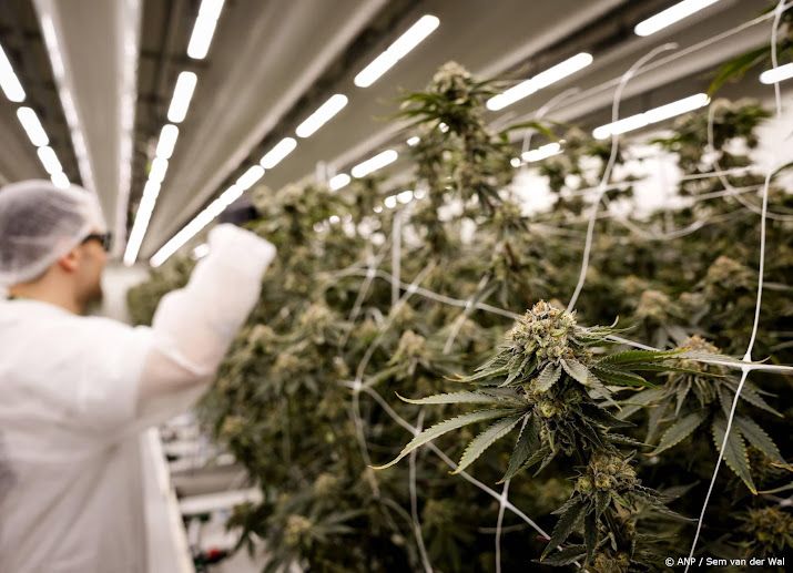 Canadees Cronos koopt voor 57,5 miljoen Nederlandse wietteler