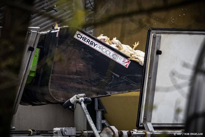 Dierenbescherming rukt vaker uit voor meldingen van vogelgriep