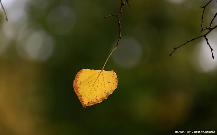 Shopaholic-auteur Sophie Kinsella overleden