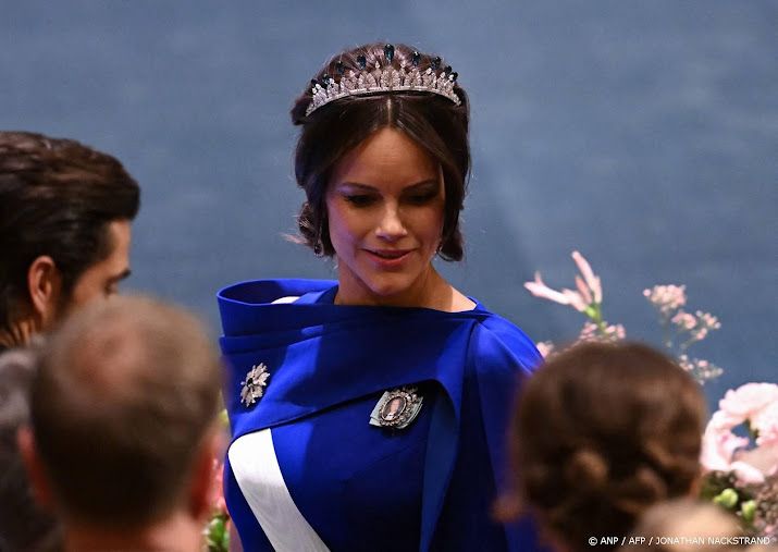 Zweeds hof: ontmoetingen prinses Sofia en Epstein waren openbaar