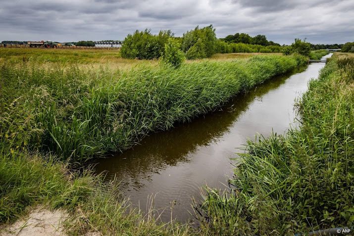 Artsen vragen in brief aan informateur om PFAS-verbod 