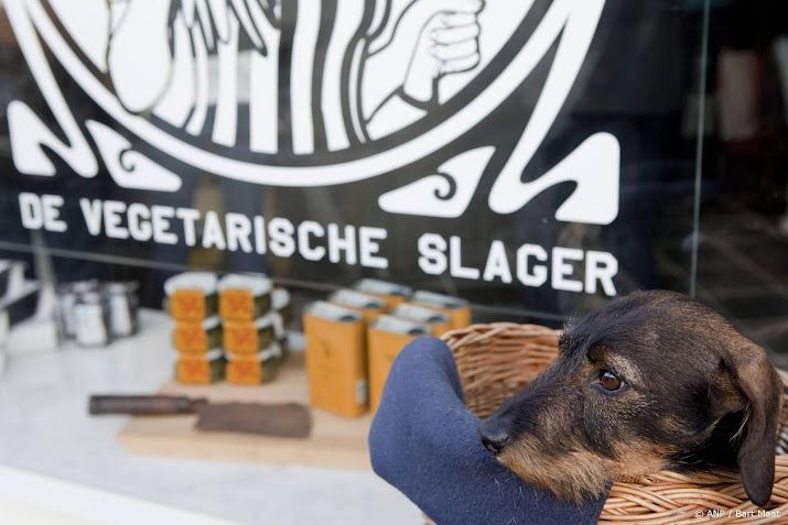 'Echte kaas zonder koeien' dichterbij door miljoeneninvestering