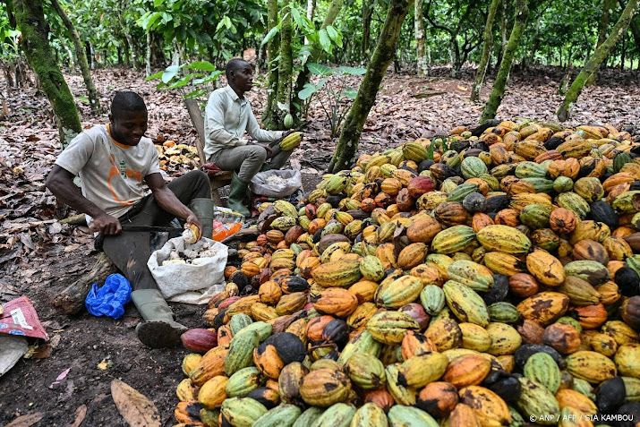 Chocolade blijft voorlopig duur ondanks gedaalde cacaoprijzen