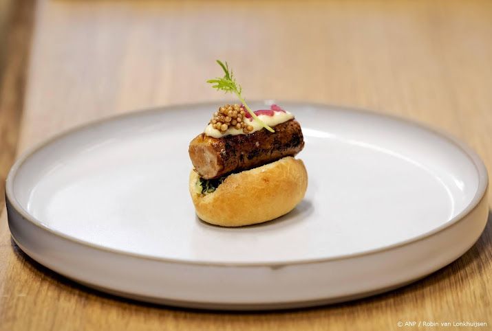 Kweekvleesmaker Meatable houdt na geldproblemen op te bestaan