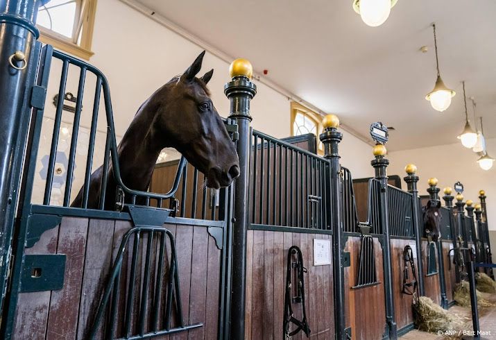 Paarden ontsnappen uit Koninklijke Stallen in Den Haag