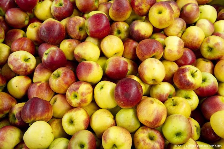 Onlinesupermarkt Crisp voorziet eerste maand met zwarte cijfers