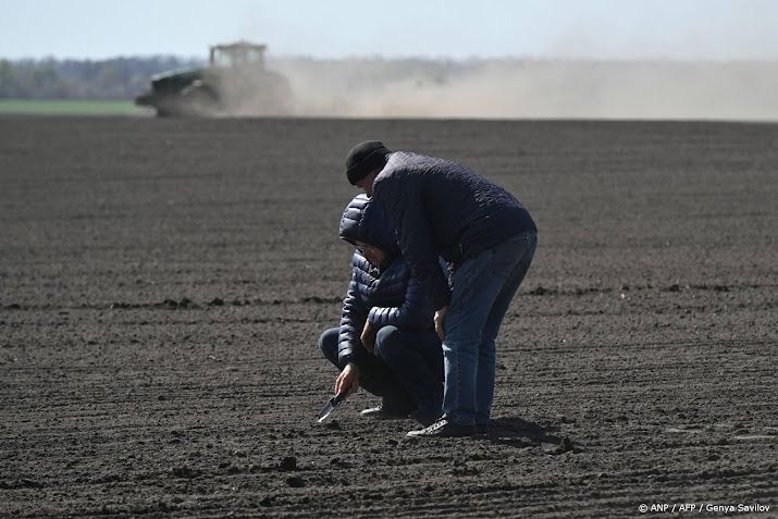 Boeren Oekraïne vrezen afname voedselexport na aanvallen havens