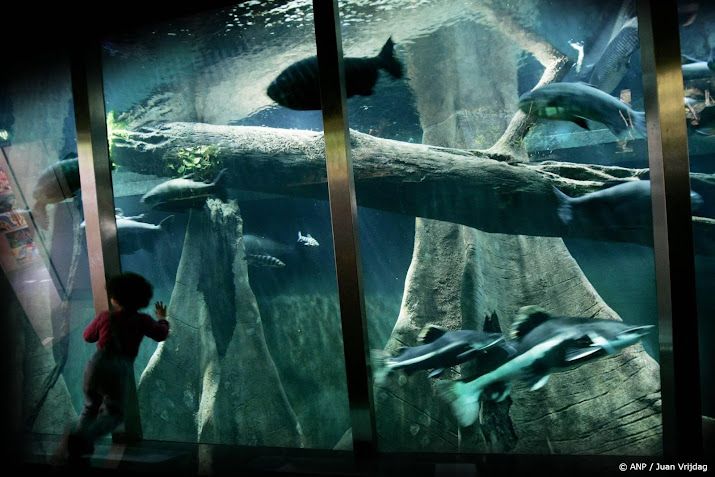 Monumentaal aquarium Artis in juni weer open na grote renovatie
