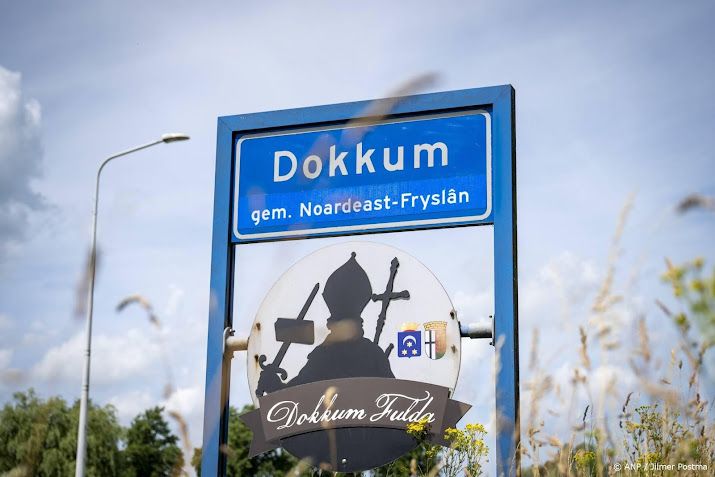 Dokkum presenteert Koningsdag-logo met Friese pompeblêden