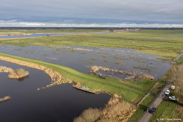 Waterschappen vangen 85.000 muskusratten, fors meer dan in 2024