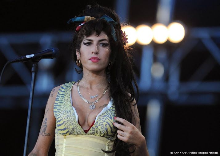 Advocaat: vrienden Winehouse maakten misbruik van haar vader
