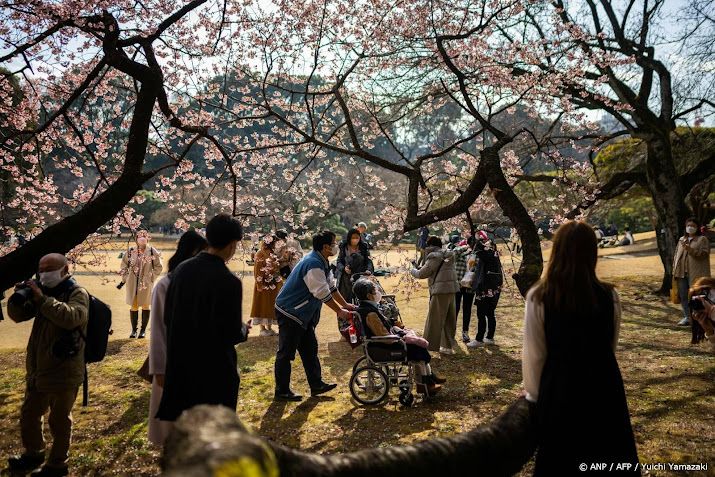 Japan schrapt kersenbloesemfestival om overlast toeristen