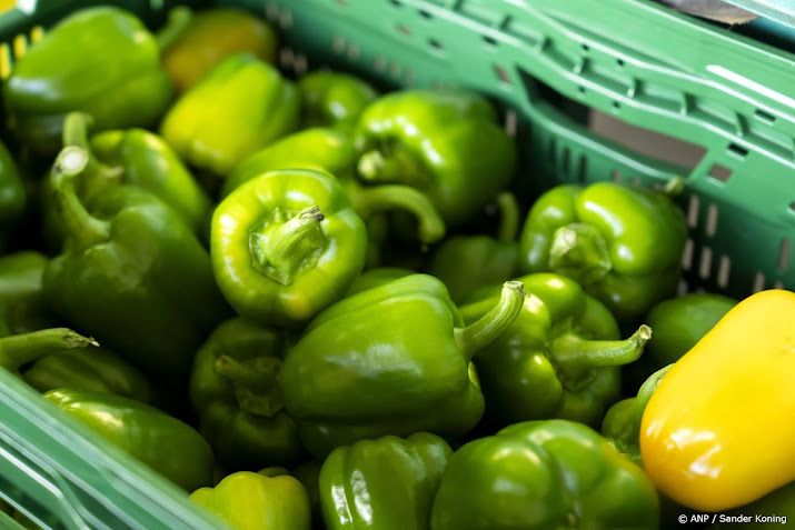 Actie No Waste Army voorkomt verspilling 916.000 kilo groenten