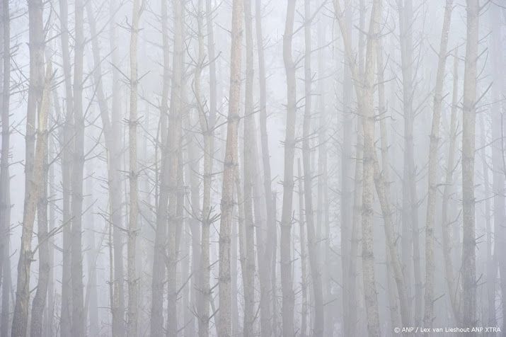 Ook maandagochtend plaatselijk dichte mist in noordwesten