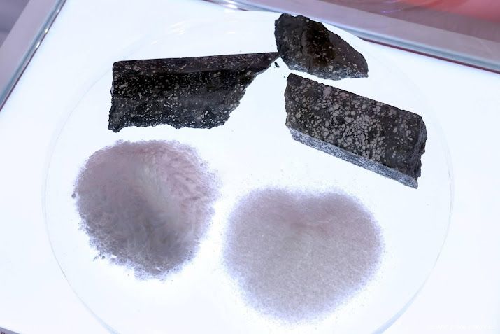 India in gesprek met Nederland over winning kritieke mineralen