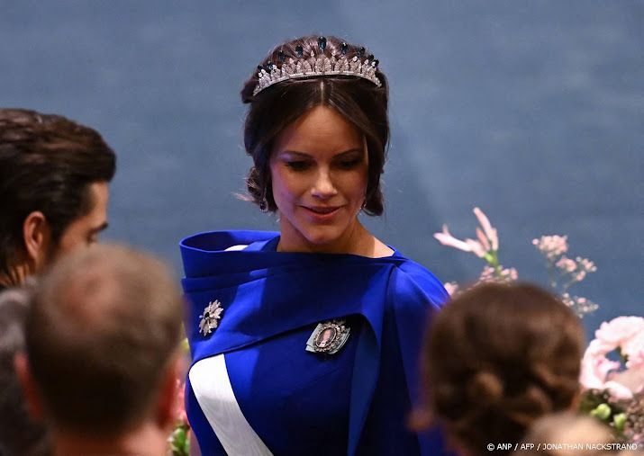 Prinses Sofia bevestigt ontmoetingen met Jeffrey Epstein