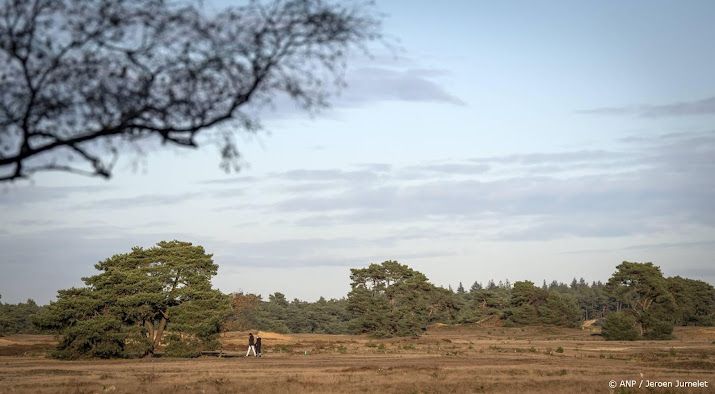 Werkgevers, boeren en bouw kritisch over Gelderse stikstofplannen