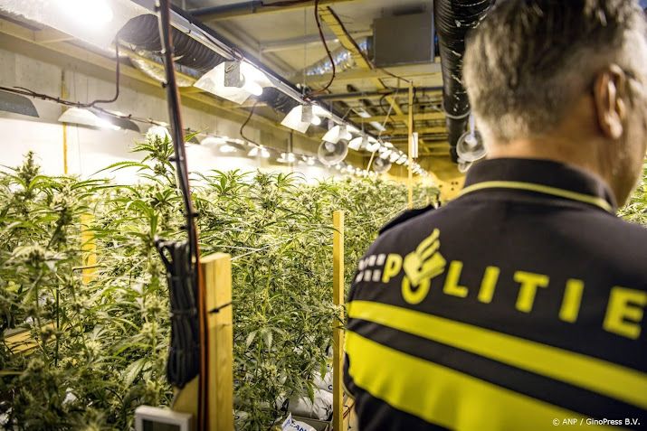 Een derde meer anonieme tips over misdaad in 2025 