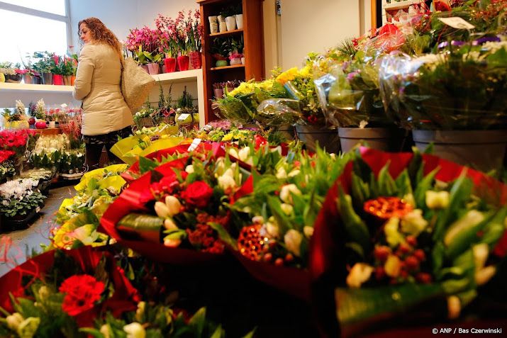 Aantal bloemen- en plantenzaken daalt opnieuw in Nederland