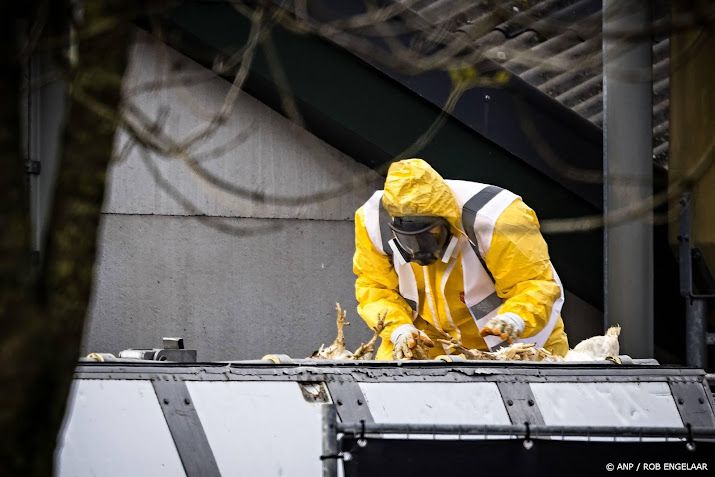 Vogelgriep vastgesteld in Ede