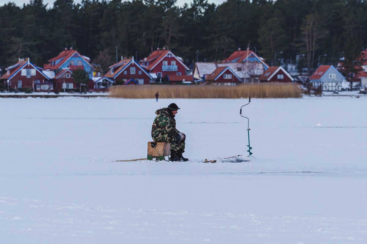 Kuršių mariose žvejojusių verslininkų laimikis pernai – gerokai prastesnis