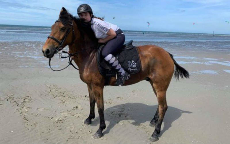 Paard vermist in De Panne: "Na uren zoeken is er nog steeds geen spoor"