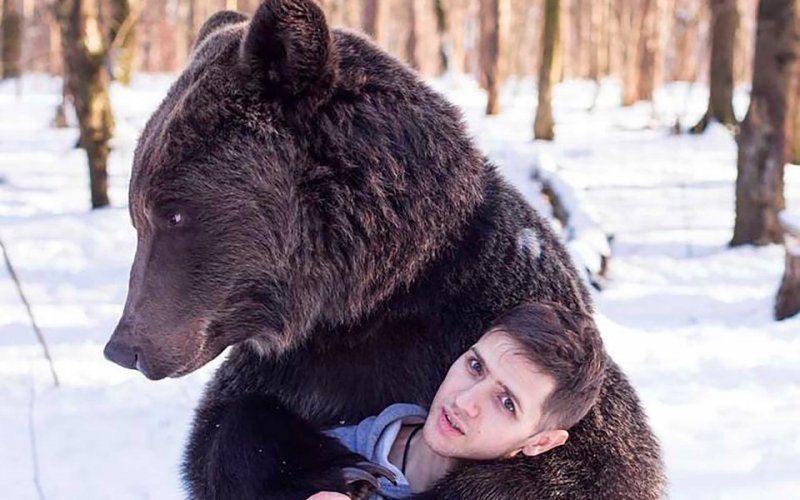 Man wordt verscheurd door beer omdat hij mondmasker vergeet af te nemen: “Hij herkende hem niet”