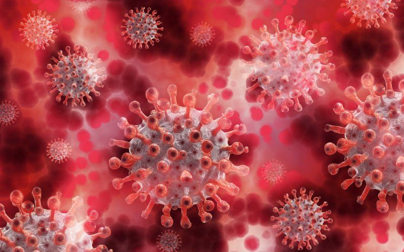 Vrees voor nieuwe virusuitbraak na Covid-19: Man in kritieke toestand