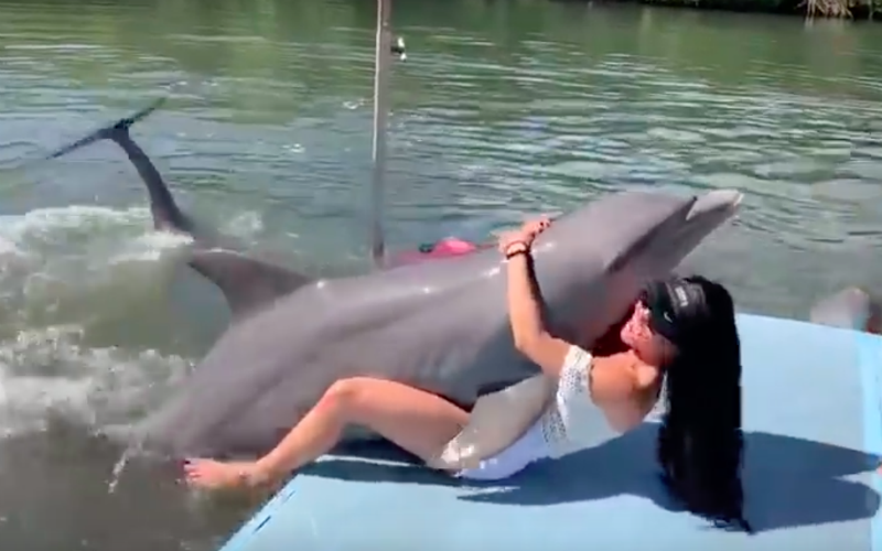 Hilarisch: speelse dolfijn vindt knappe toeriste net iets té leuk