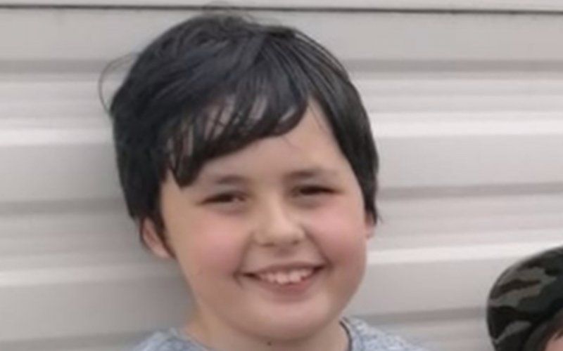 Pitbull verscheurt 10-jarige jongen: “Dat was geen huisdier, het was een machine”