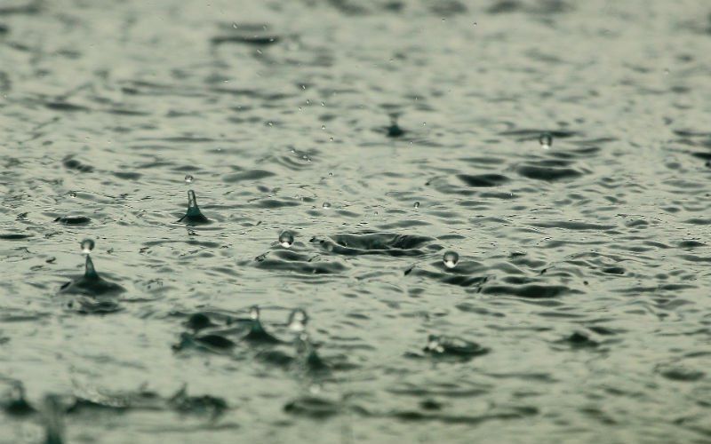 Opgepast voor komende dagen: Rukwinden, onweer en overvloedige neerslag