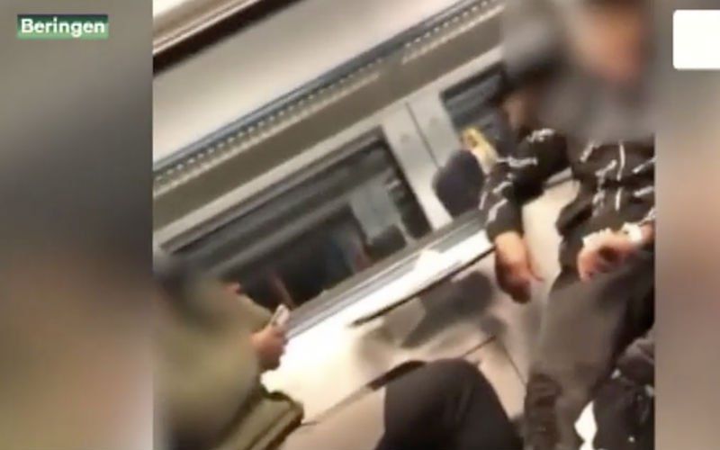 Twee reizigers in de clinch met conducteur in Beringen: Iedereen moet trein verlaten